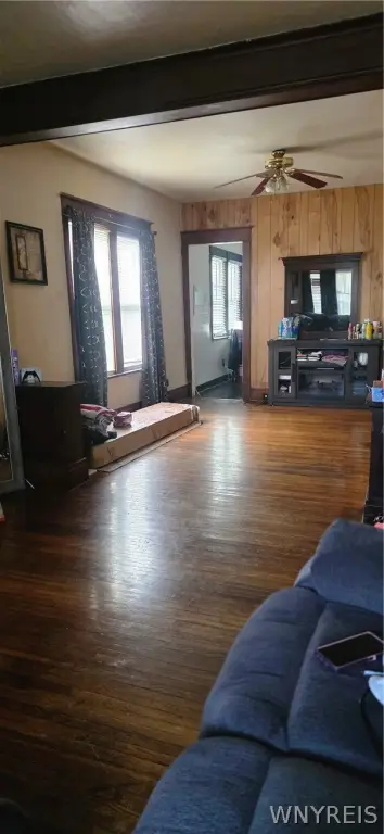 Picture 6