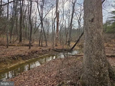 10-Acre Wooded Land in Millerstown