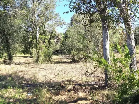 Spacious Corner Lot in Beeville