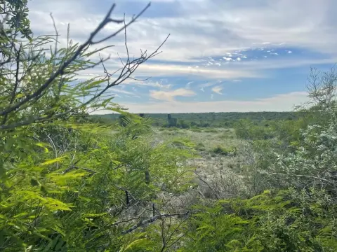 Scenic South Texas Land Parcel