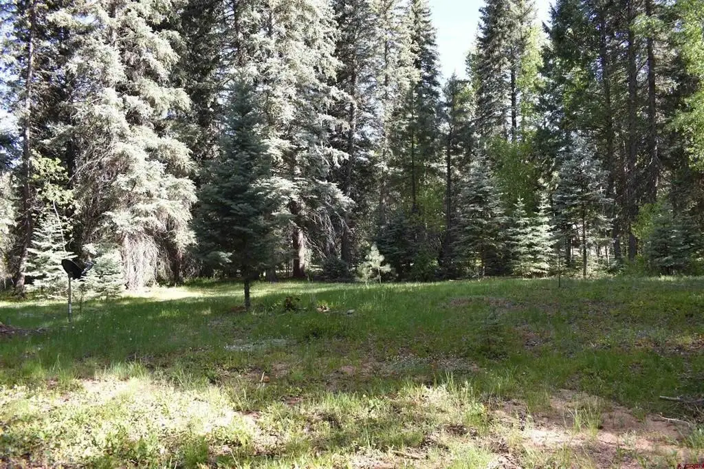 Picture 28