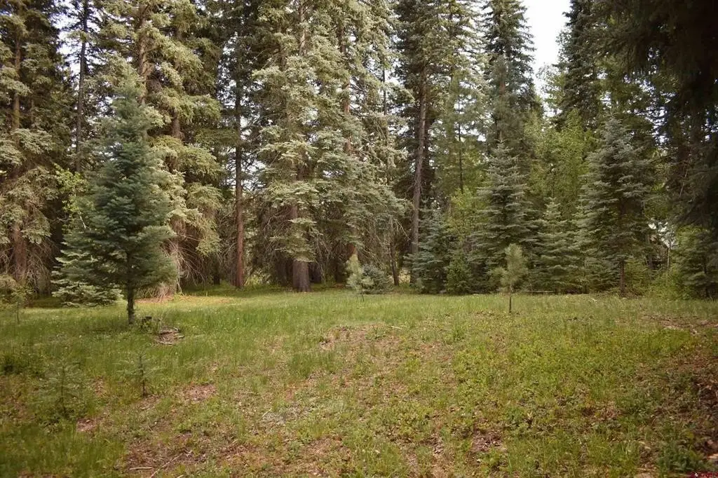 Picture 29