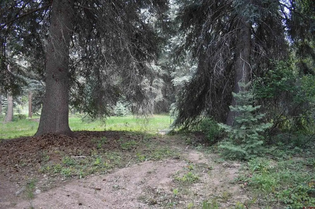 Picture 21