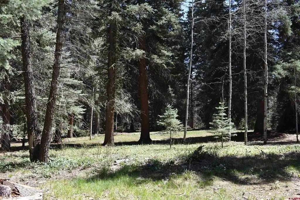 Picture 13