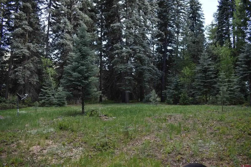 Picture 27