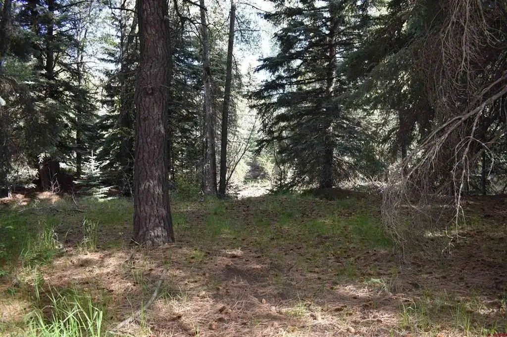 Picture 10