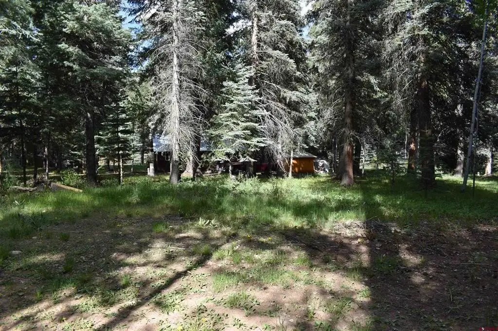 Picture 23