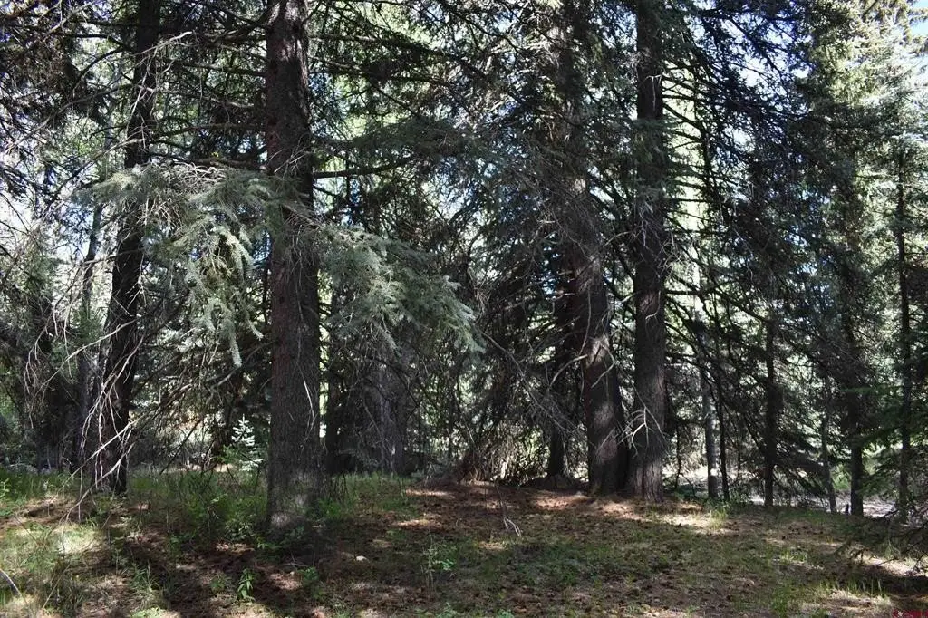 Picture 25