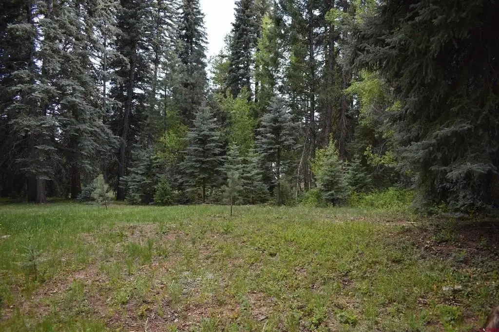 Picture 19