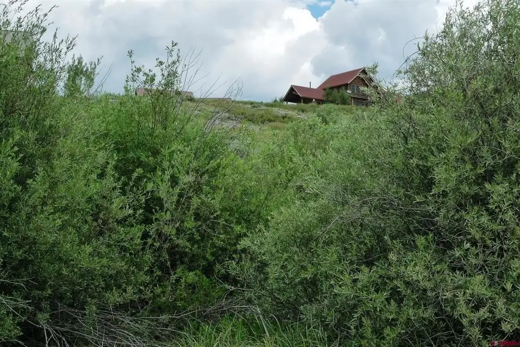 Picture 39