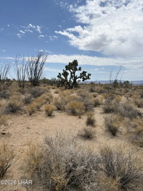 Picture 2