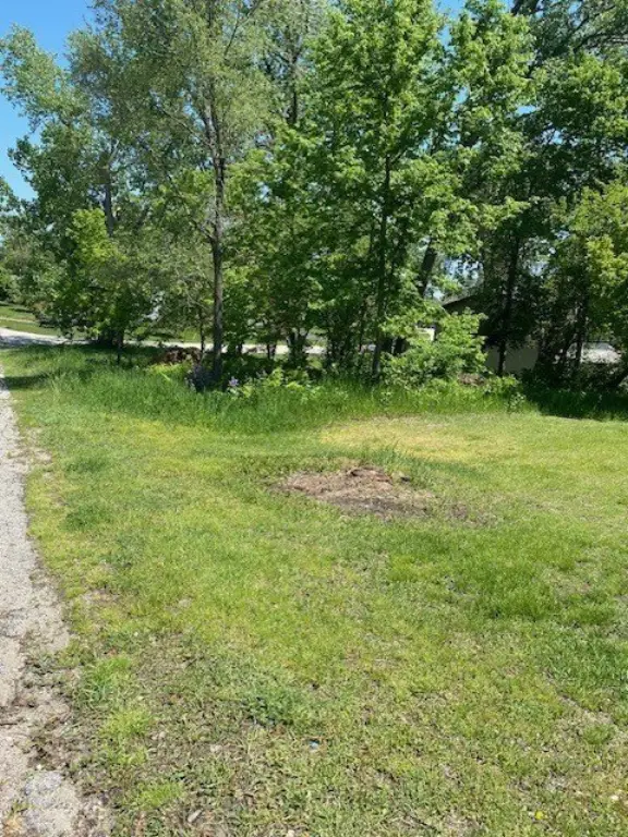 Picture 5