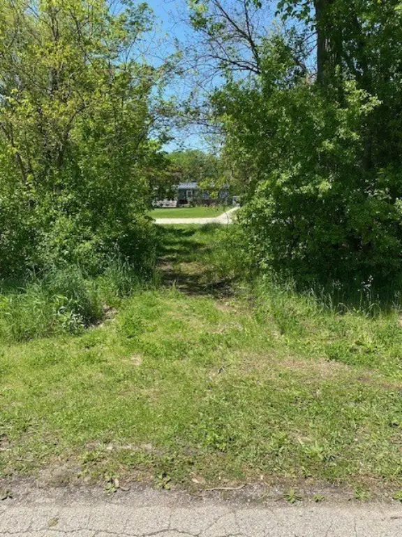 Picture 6