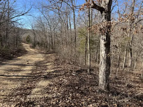 Ozark Acreage for Recreation