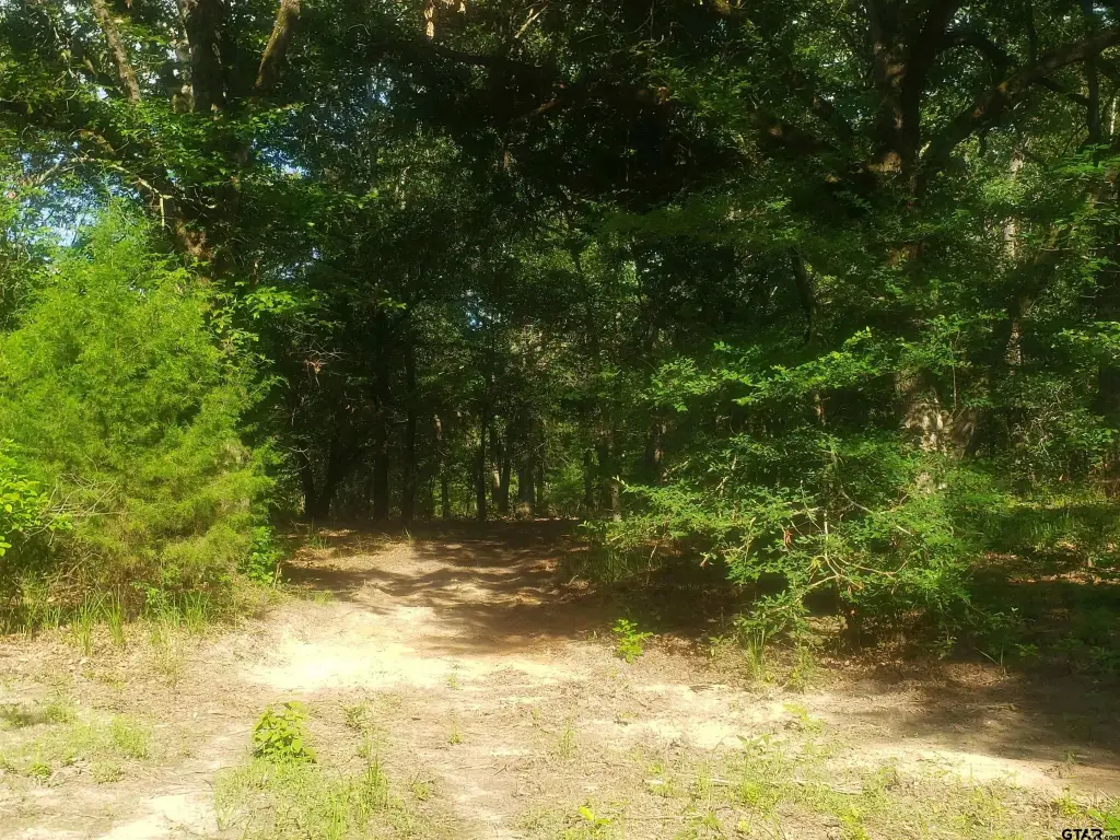 Picture 7
