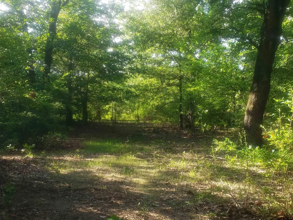 Picture 18