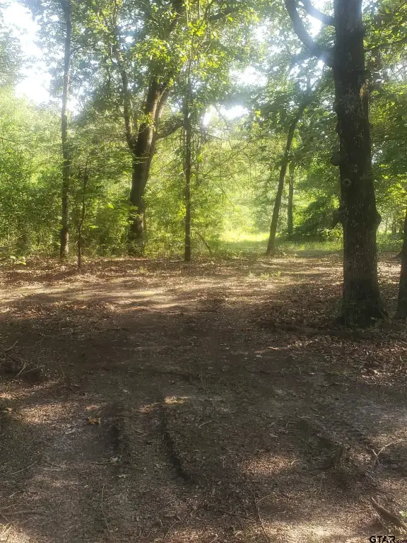 Picture 11