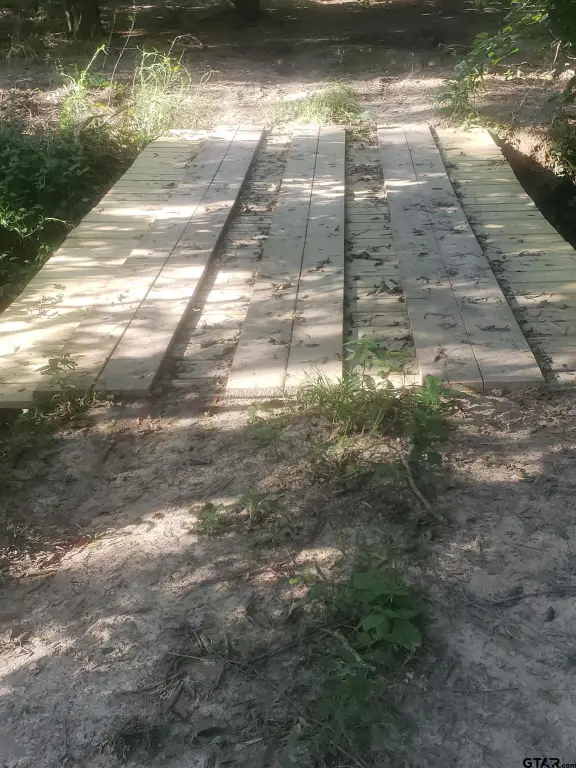 Picture 19