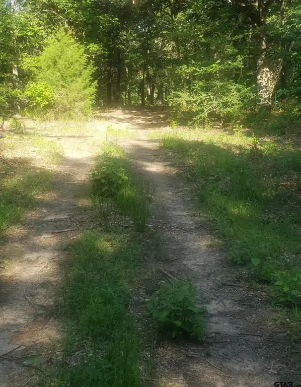 Picture 12