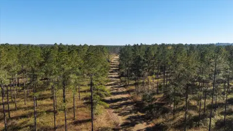 295 Acres in Tallahassee, FL
