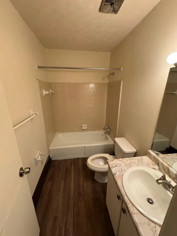 Picture 15