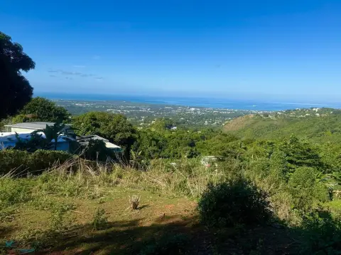 Ocean View Land Investment Opportunity