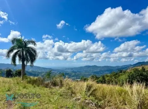 Vacant Land for Eco-Tourism