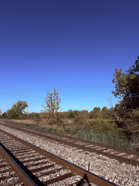 Picture 6