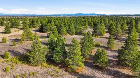 10-Acre Parcel with Owner Financing