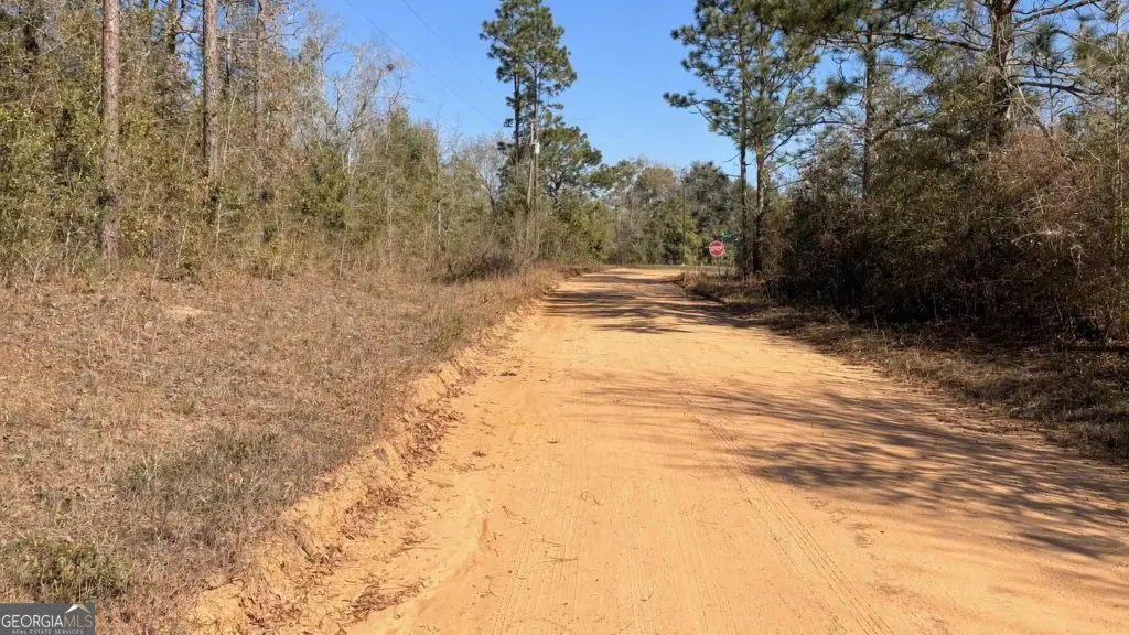 Picture 41