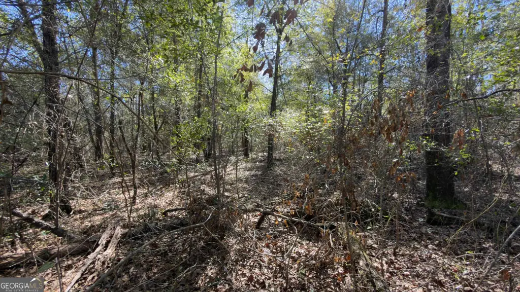 Picture 38