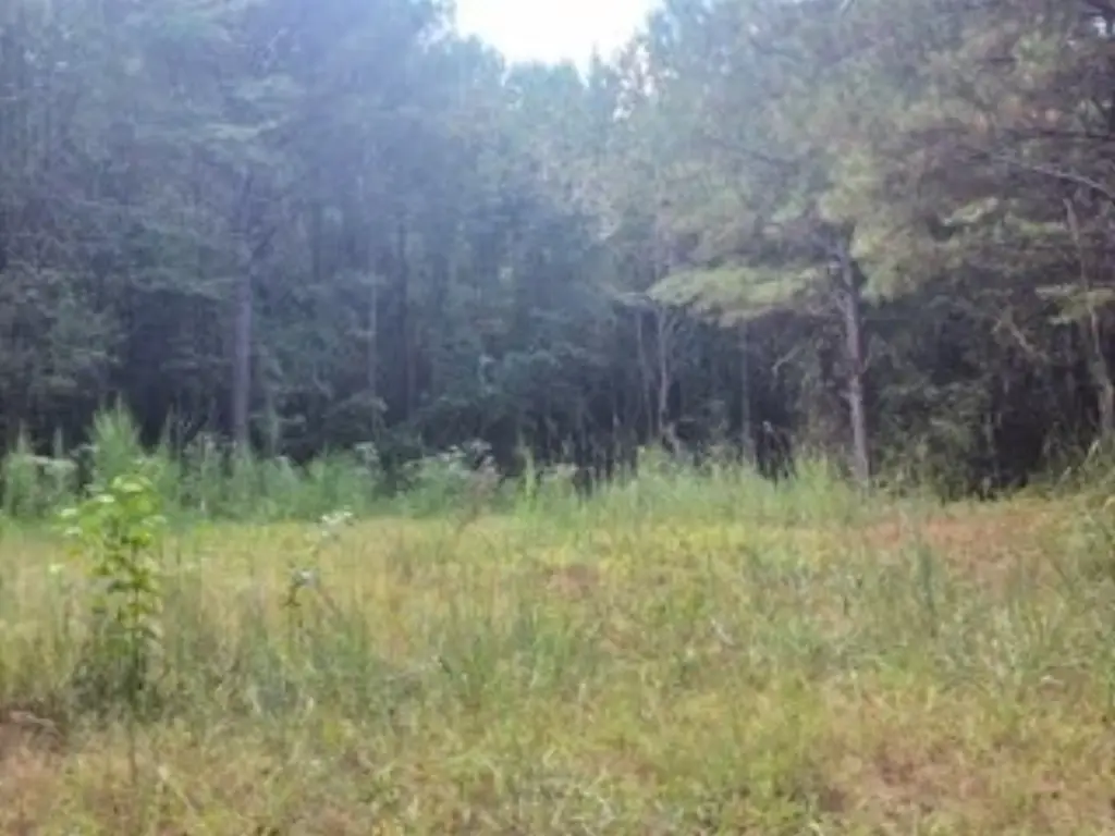 Picture 18