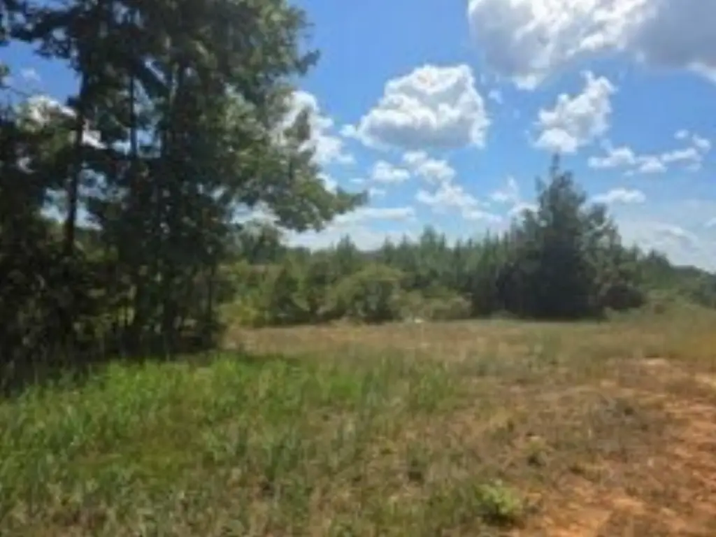 Picture 11