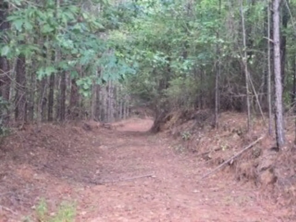Picture 2