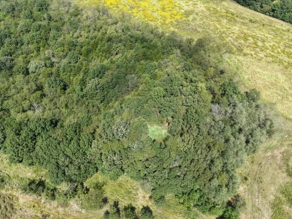 Picture 23