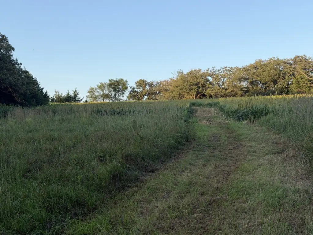 Picture 43