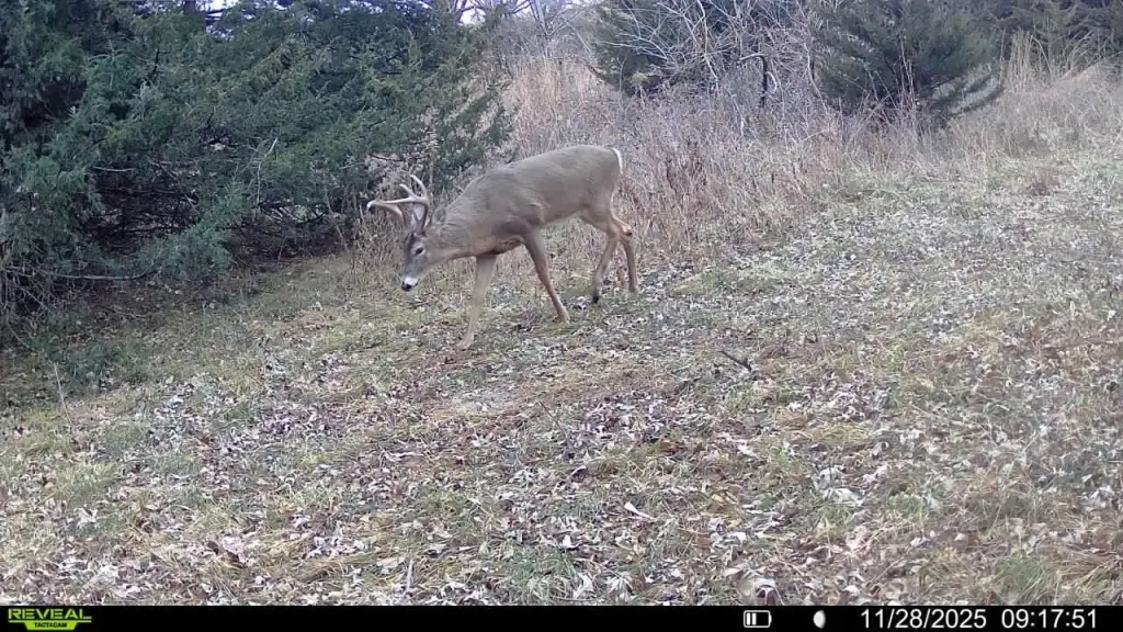 Picture 27