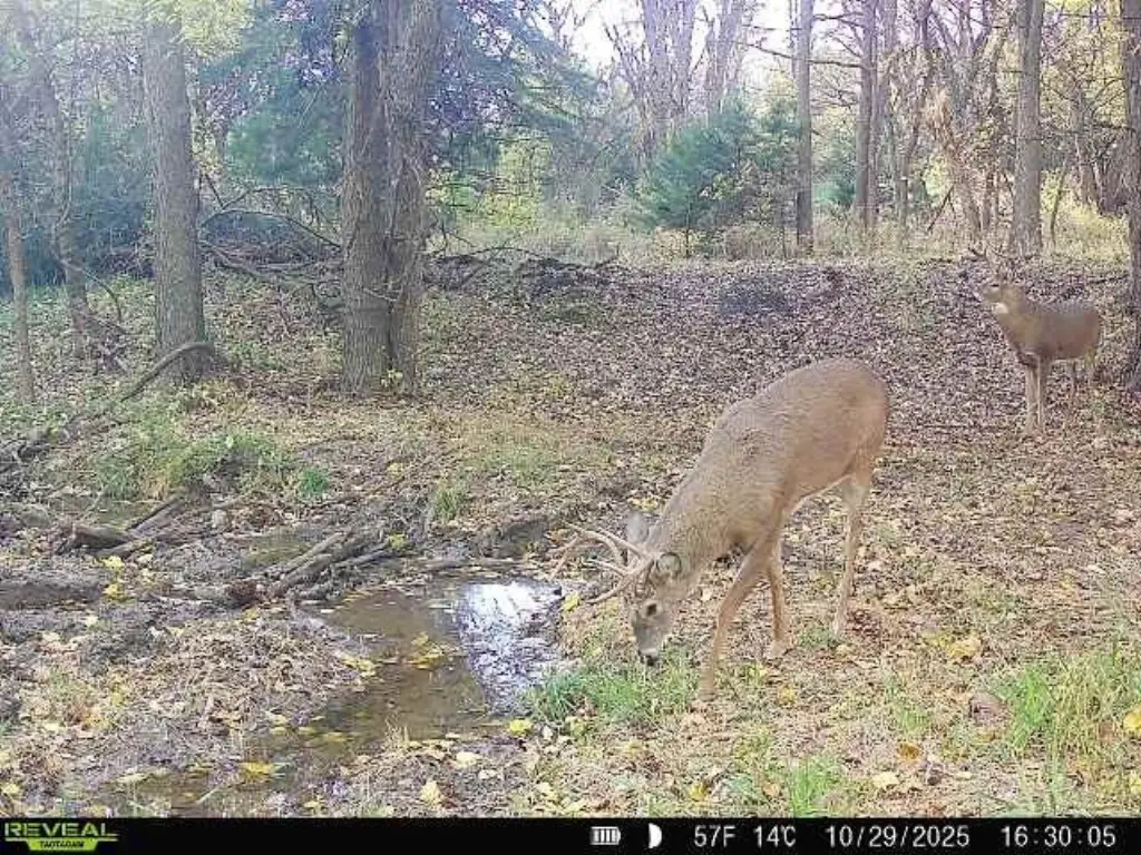 Picture 23