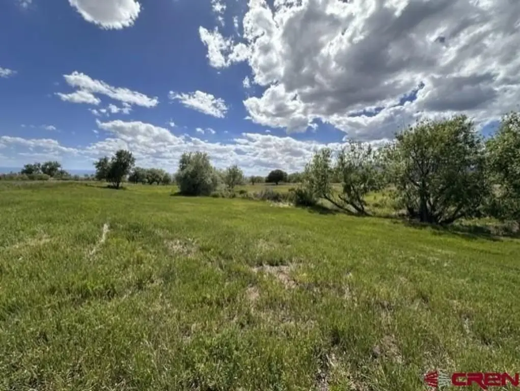 Picture 13