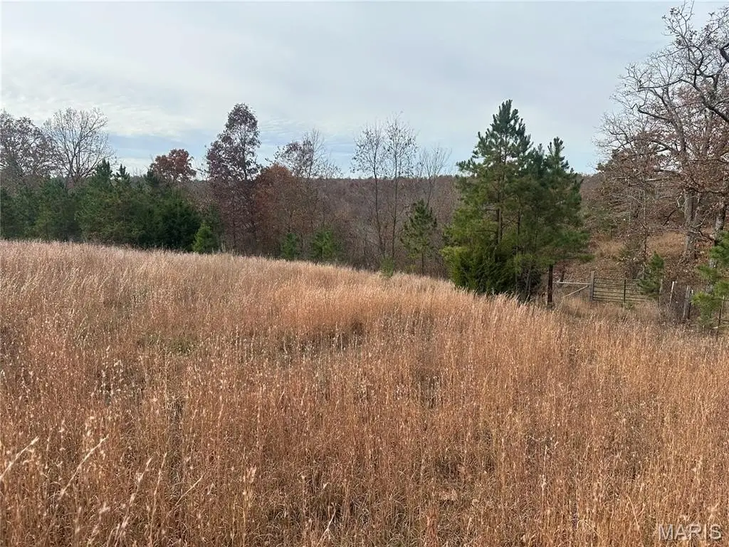 Picture 19