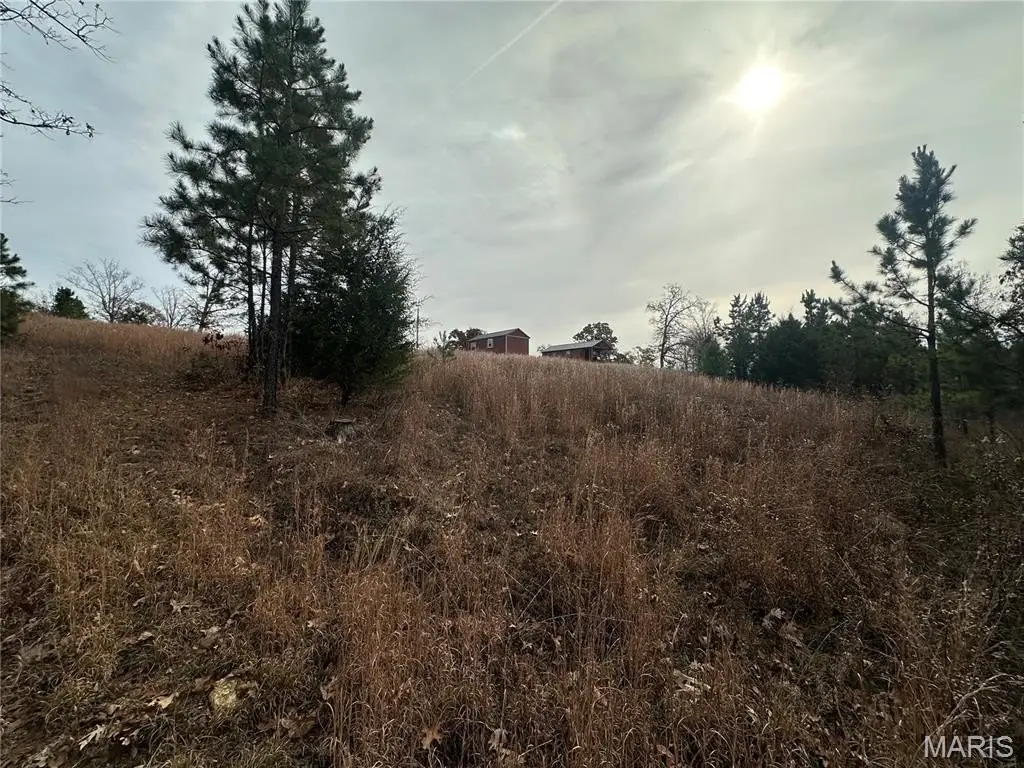 Picture 21