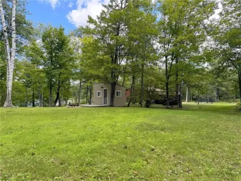 Private Wooded Land Near Townline Lake