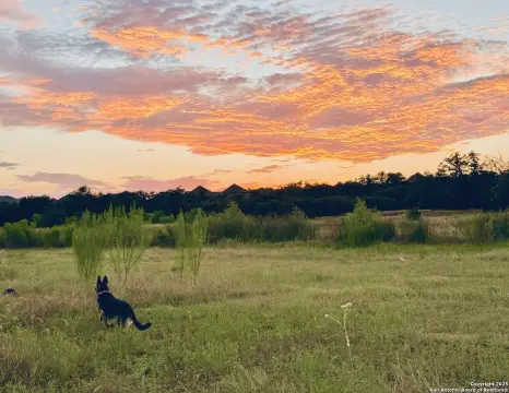 Unrestricted Land in Texas Hill