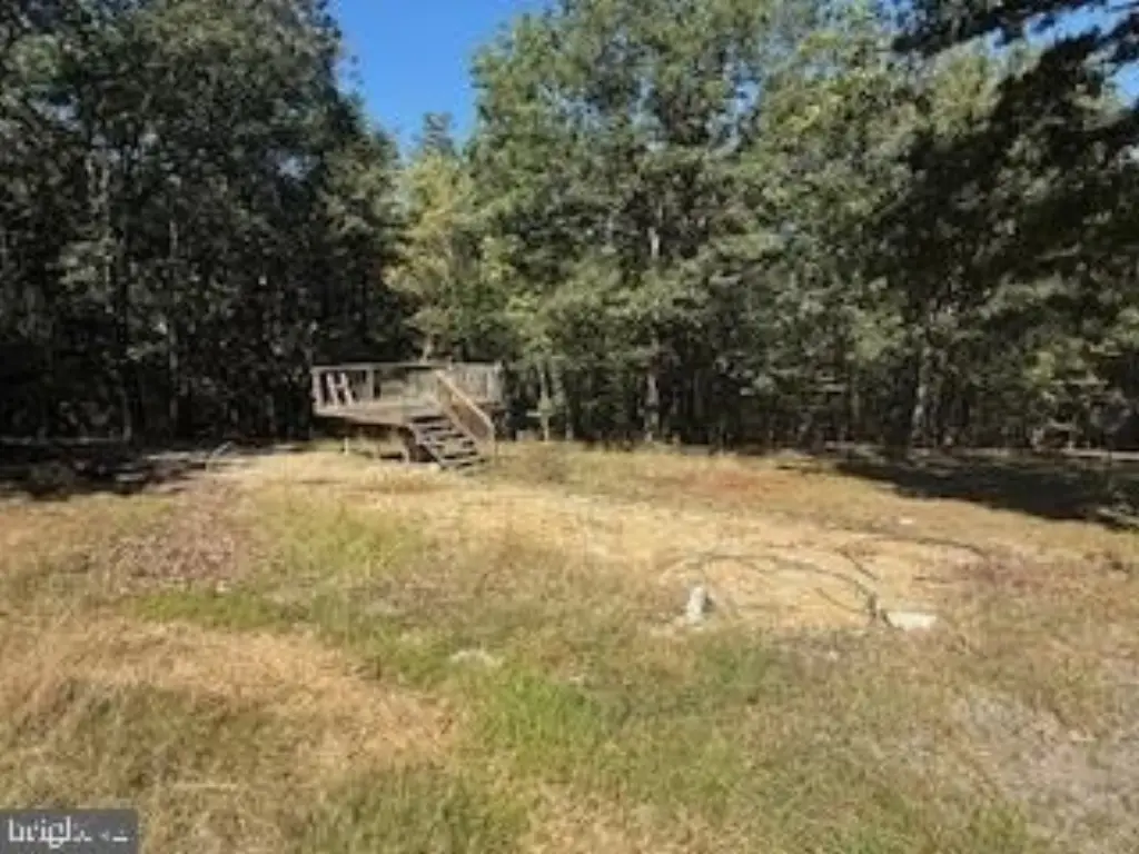 Picture 18