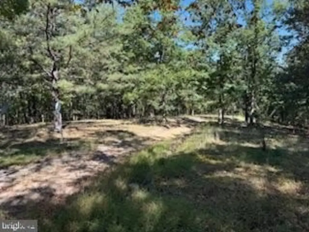 Picture 35