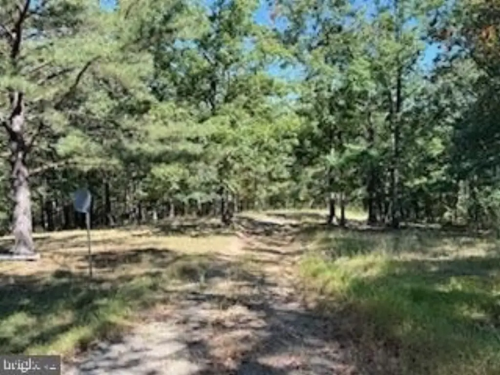 Picture 33