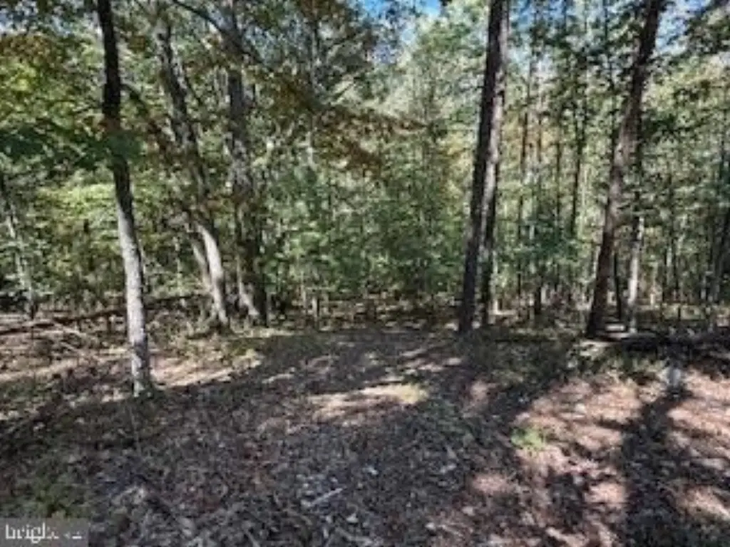 Picture 38
