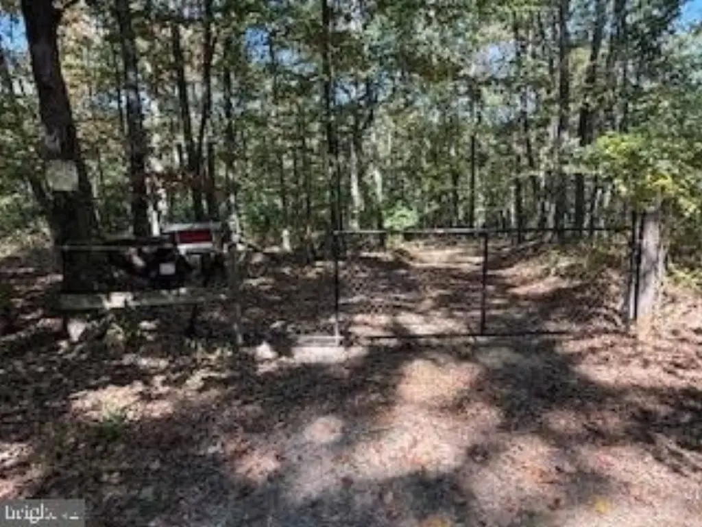 Picture 17