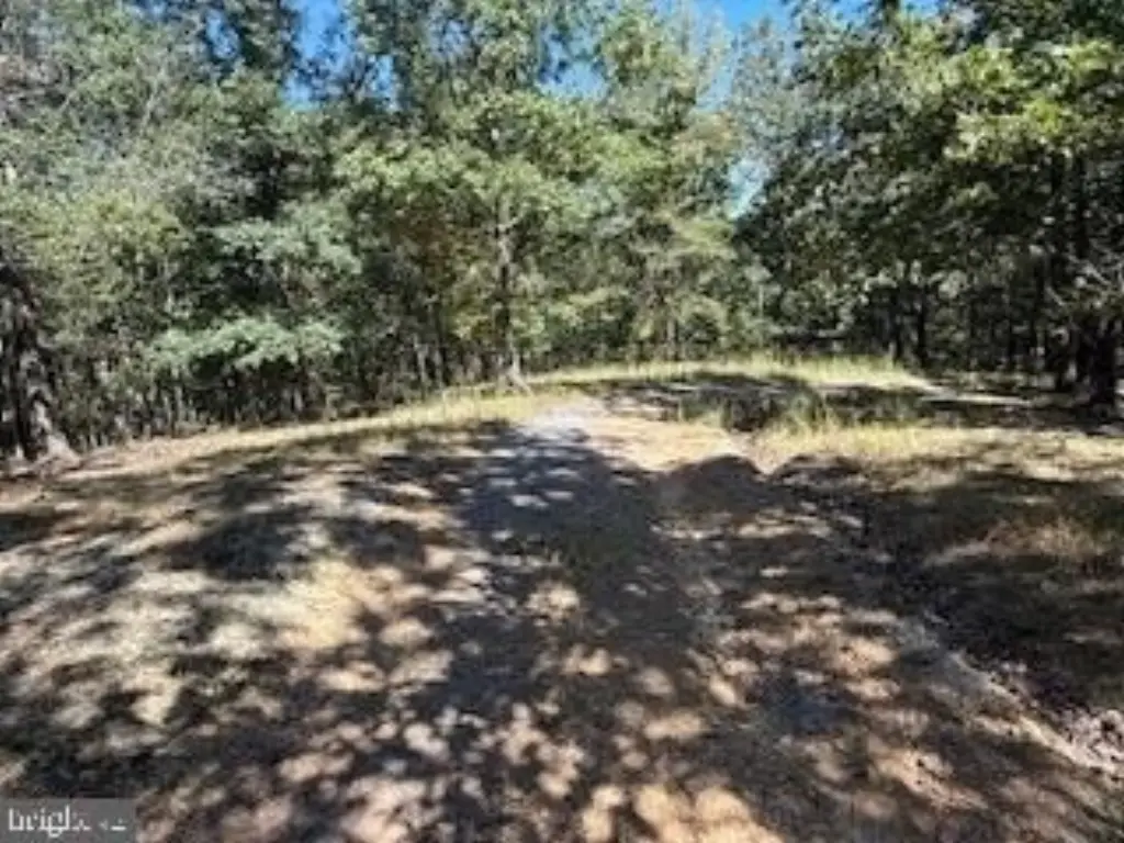 Picture 41