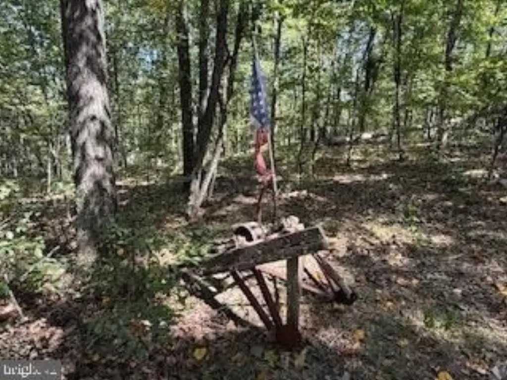 Picture 9